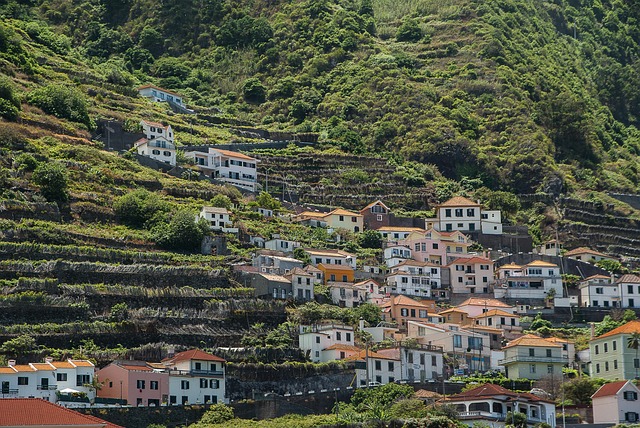 Rutas creadas para ti en Madeira